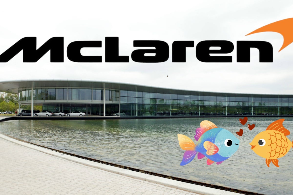 Two randy carp kiss in the pond outside the MTC in Woking