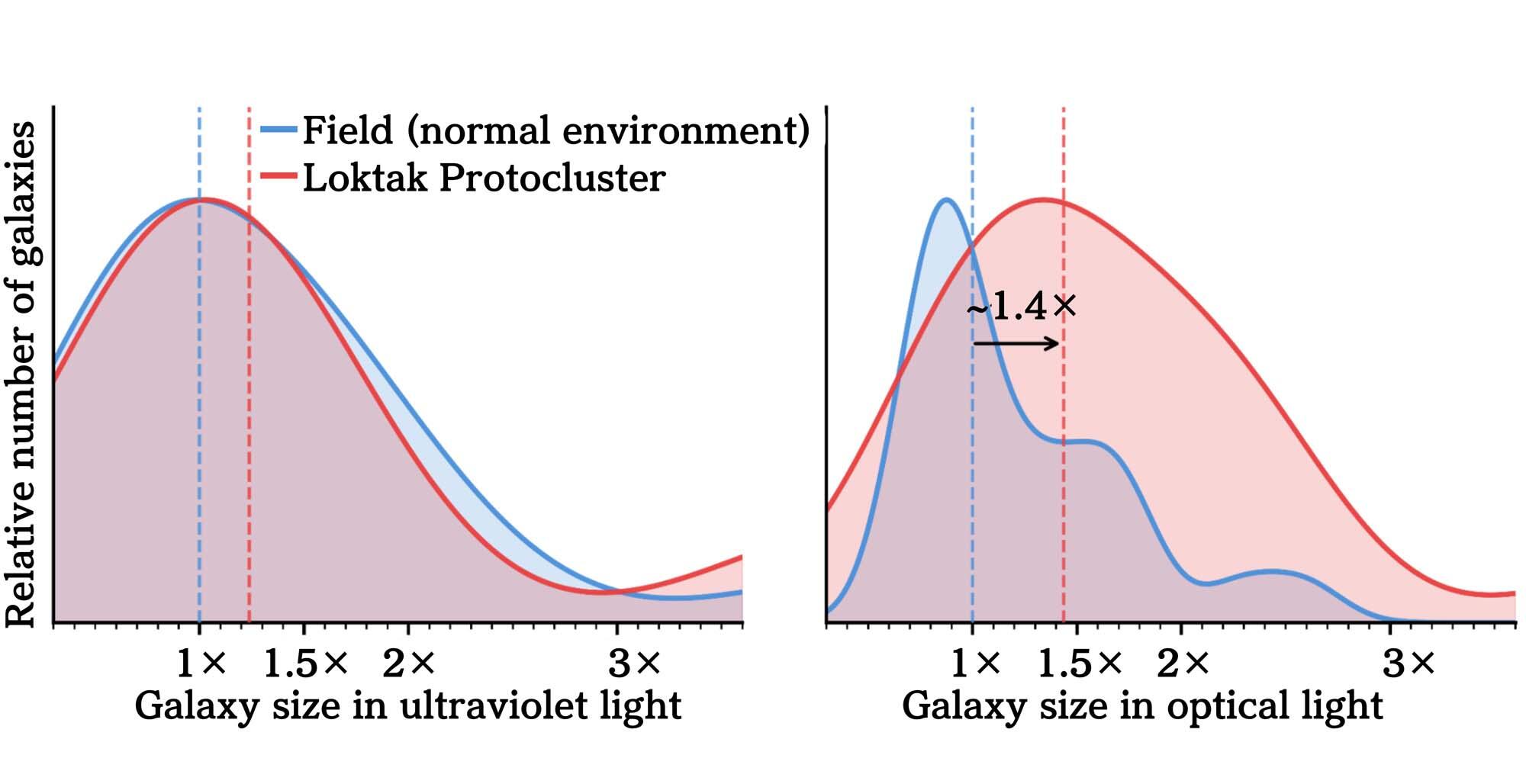 Just 1.2 Billion Years After the Big Bang, Galaxies Were Already Shaped by Where They Lived Figure4