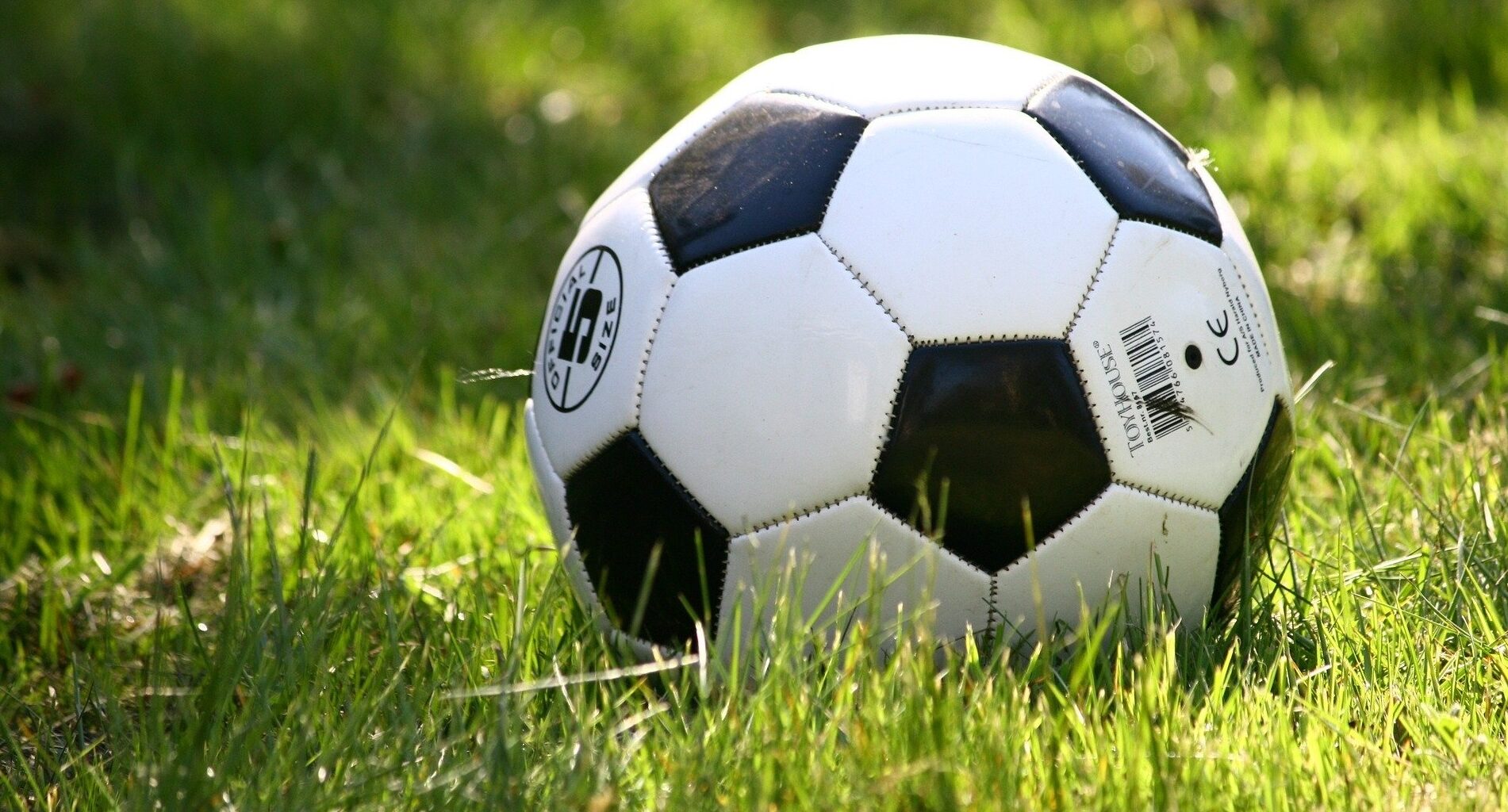 City of Calgary offering free sports programs downtown for kids