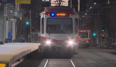 City committee endorses ending Calgary Transit’s downtown free fare zone - Calgary