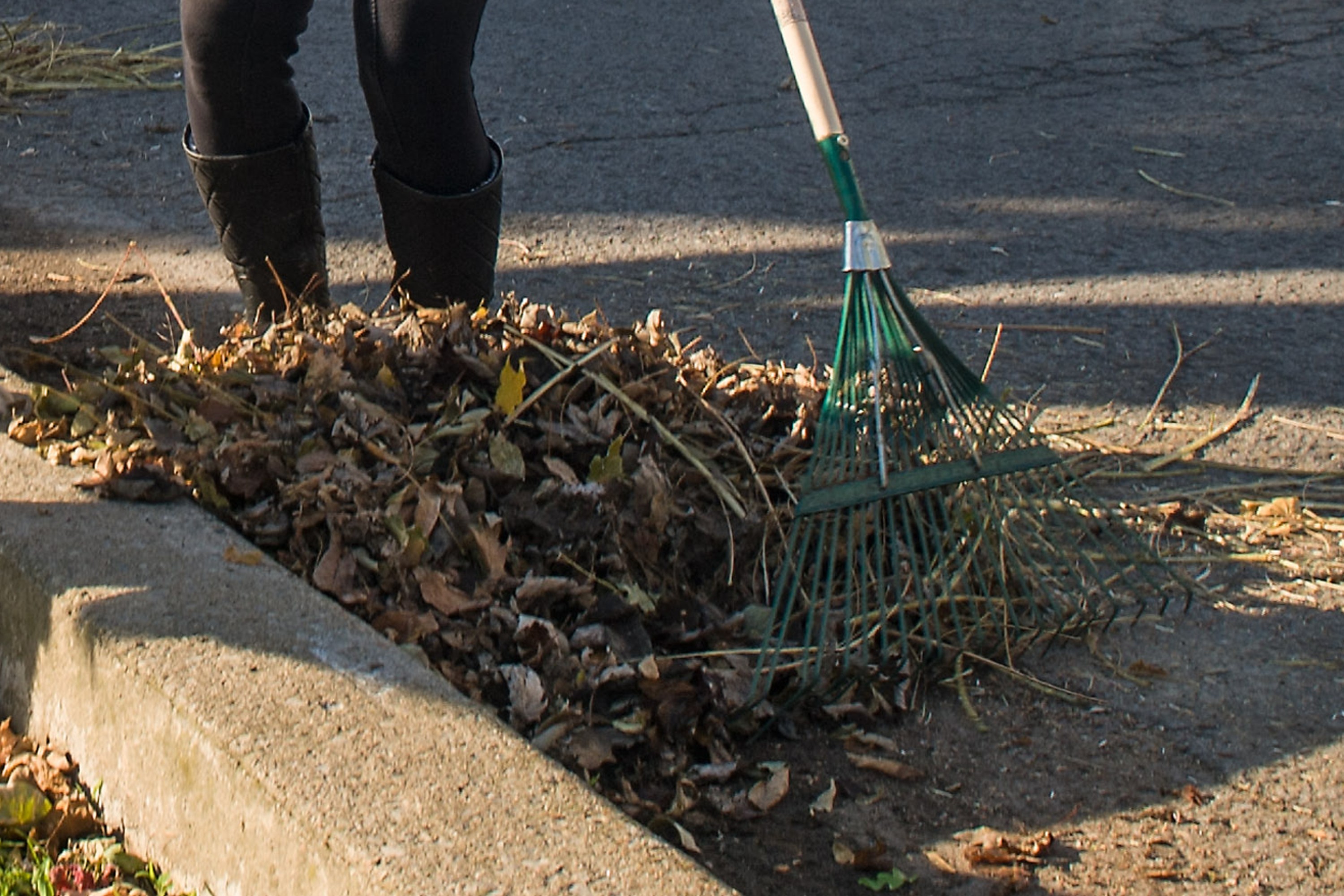 A rake and leaves on the side of a street.