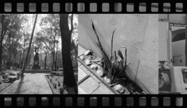 Square Frame Street Photography: Why Less Is More