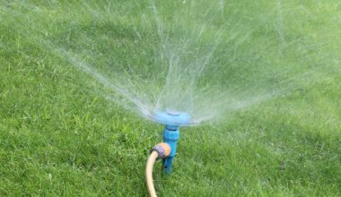 Many Calgarians unsure about new outdoor watering rules