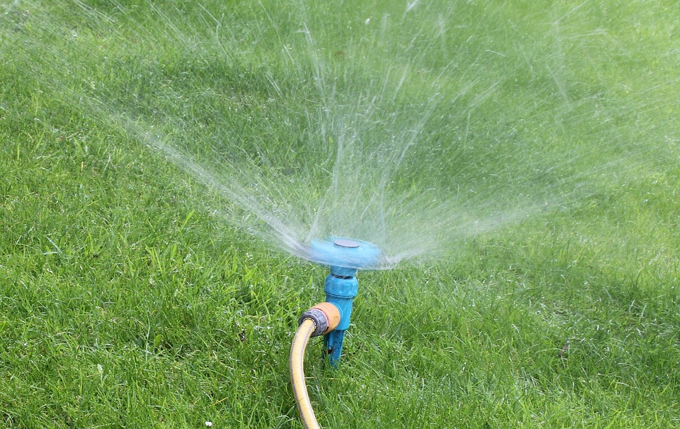 Many Calgarians unsure about new outdoor watering rules