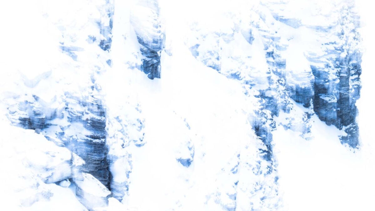 You'll Never Guess What Animal Is Hiding in This Prize-Winning Photo