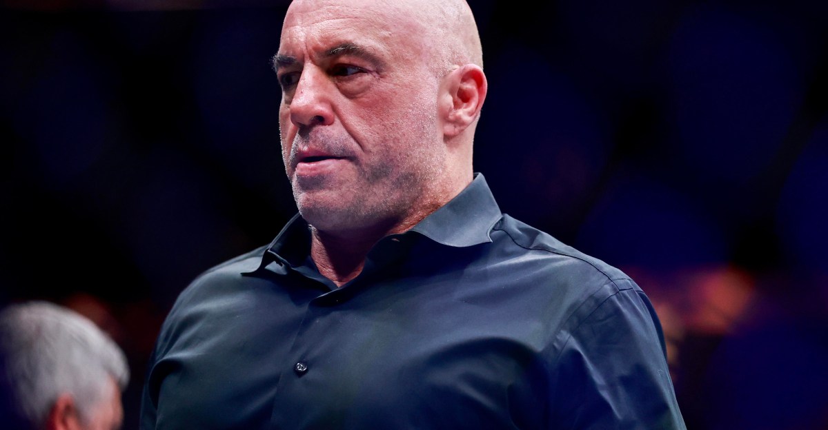 Rogan stressed out over UFC White House: ‘How are you gonna stop the bugs?’