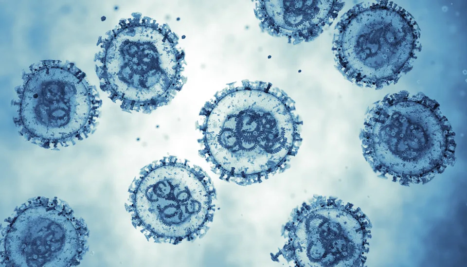 The hantavirus
