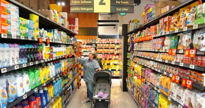 Canadians face food insecurity as 120% of income for some goes to food, rent