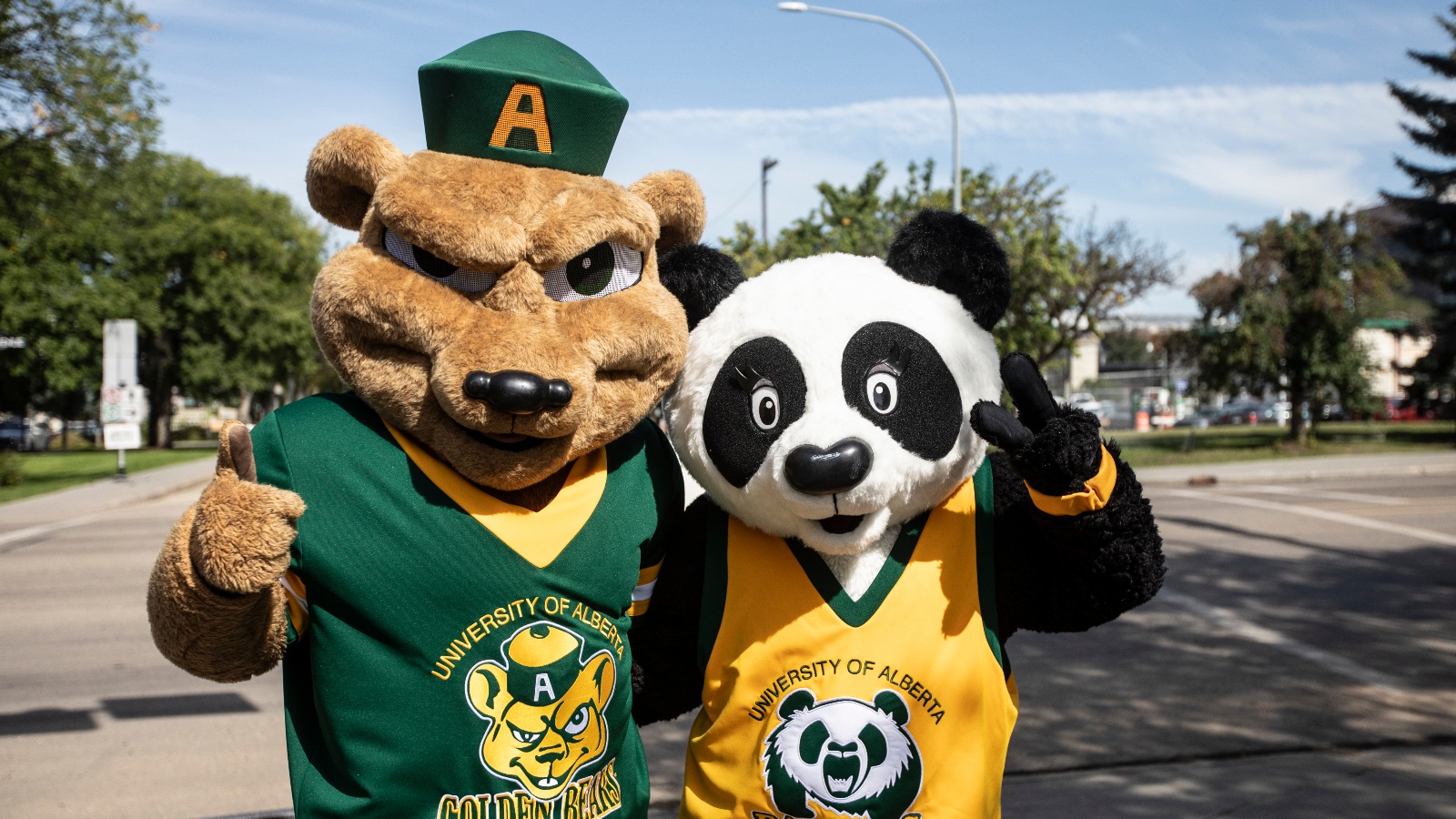 U of A Golden Bears and Panda mascots Guba and Patches.