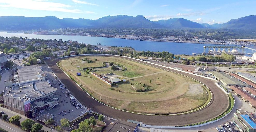 hastings racecourse