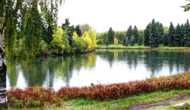This huge Edmonton park is officially reopening this weekend