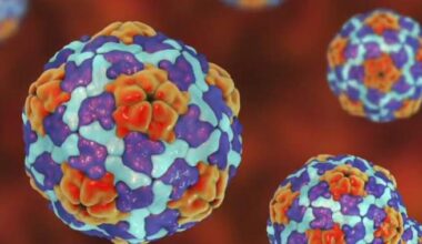 Manitoba health officials say ongoing hepatitis A outbreak has worsened - Winnipeg