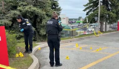 Police in Brampton asking driver of tow truck hit with gunfire to contact them – CP24