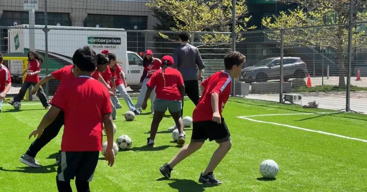 New community soccer pitch primarily for children coming to Harbourfront Centre – CP24