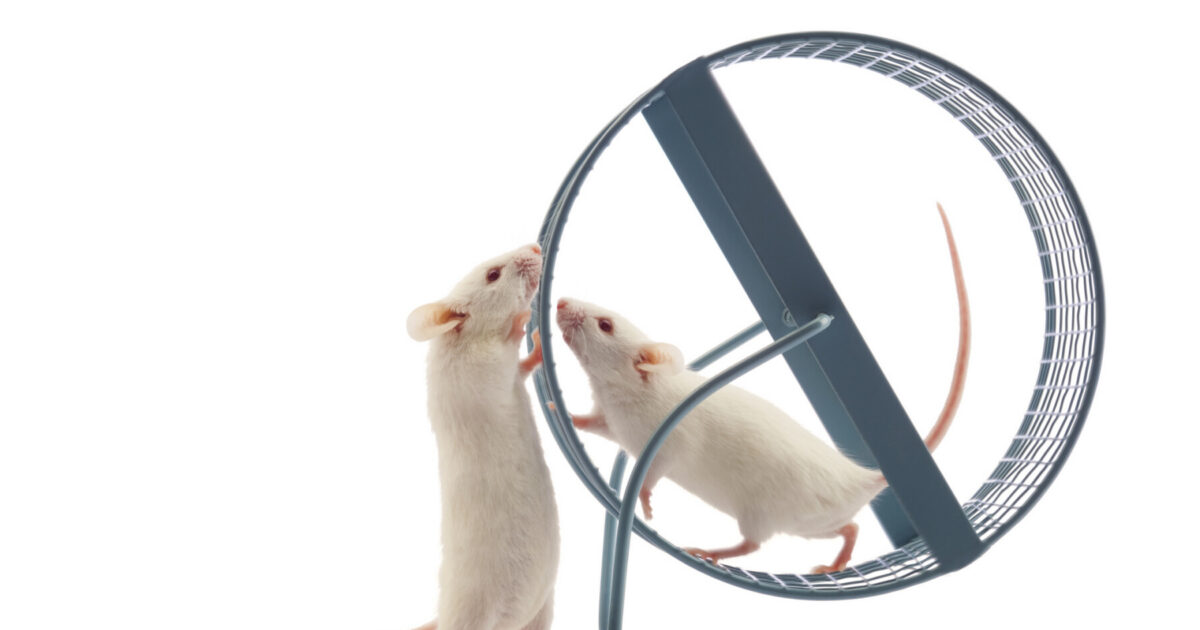 Exercise hormone irisin shields nerve cells in MS mouse study