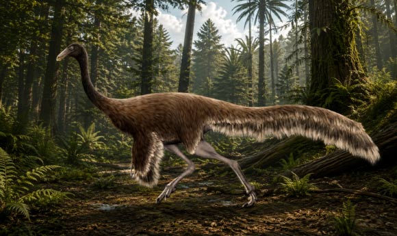 Life restoration of Quipalong henanesnsis, an ornithomimosaurian dinosaur that lived in what is now China during the Maastrichtian age of the Late Cretaceous, between 72 and 67 million years ago. Image credit: PaleoNeolitic / Sci.News.