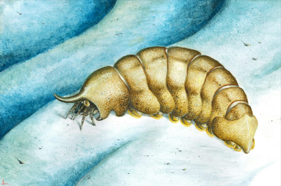 Life reconstruction of Magnicornaspis garwoodi. Image credit: Thomas Turner.
