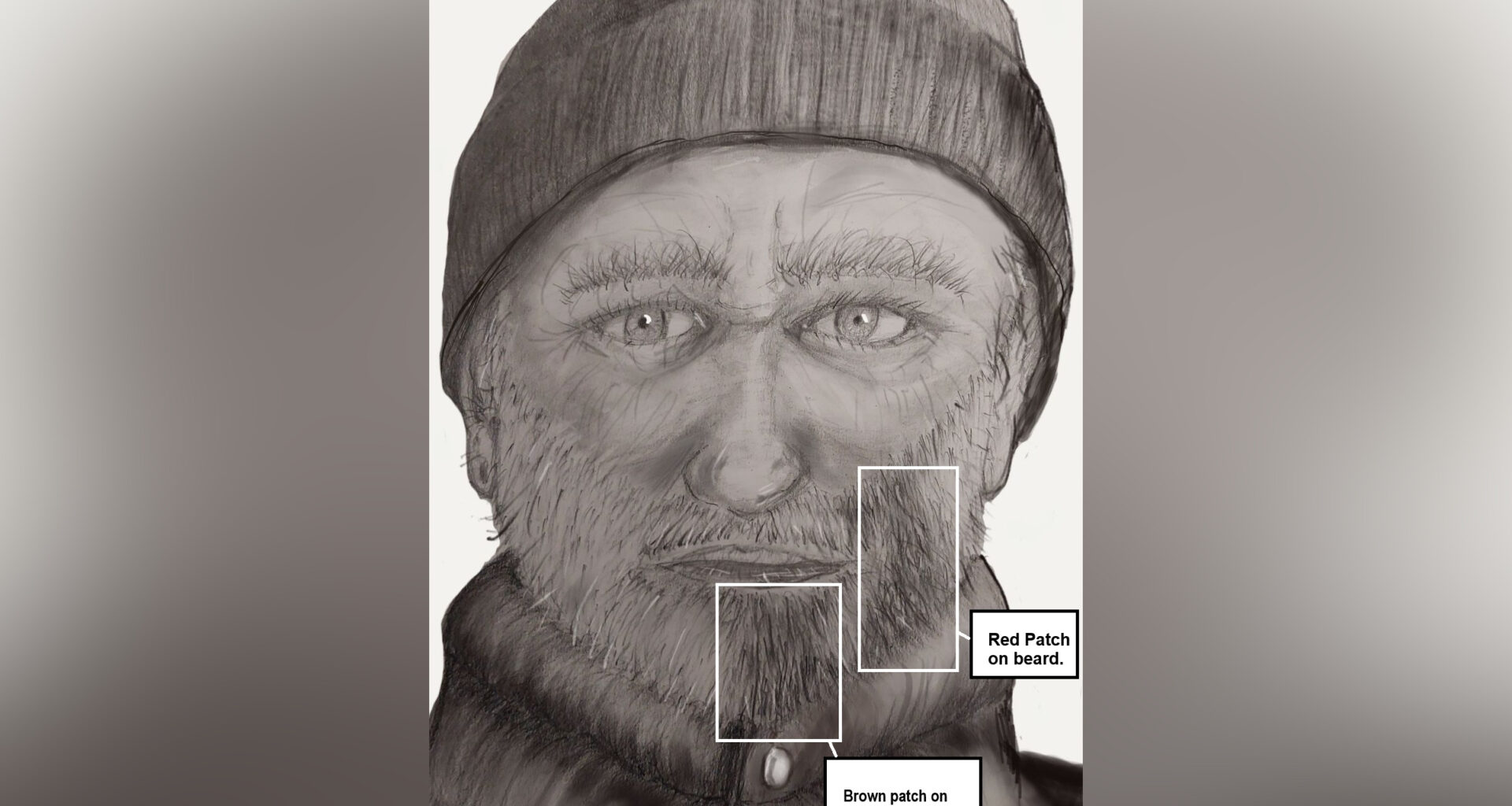 Police still searching for suspect in Calgary playground indecent act
