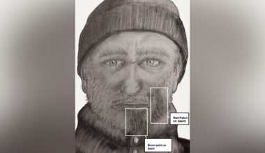 Police still searching for suspect in Calgary playground indecent act