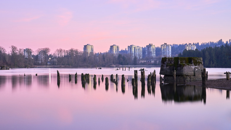 Sunset view of Port Moody with the skyline of Vancouver, BC in the background