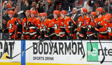 Ducks Release Offseason Injury Report