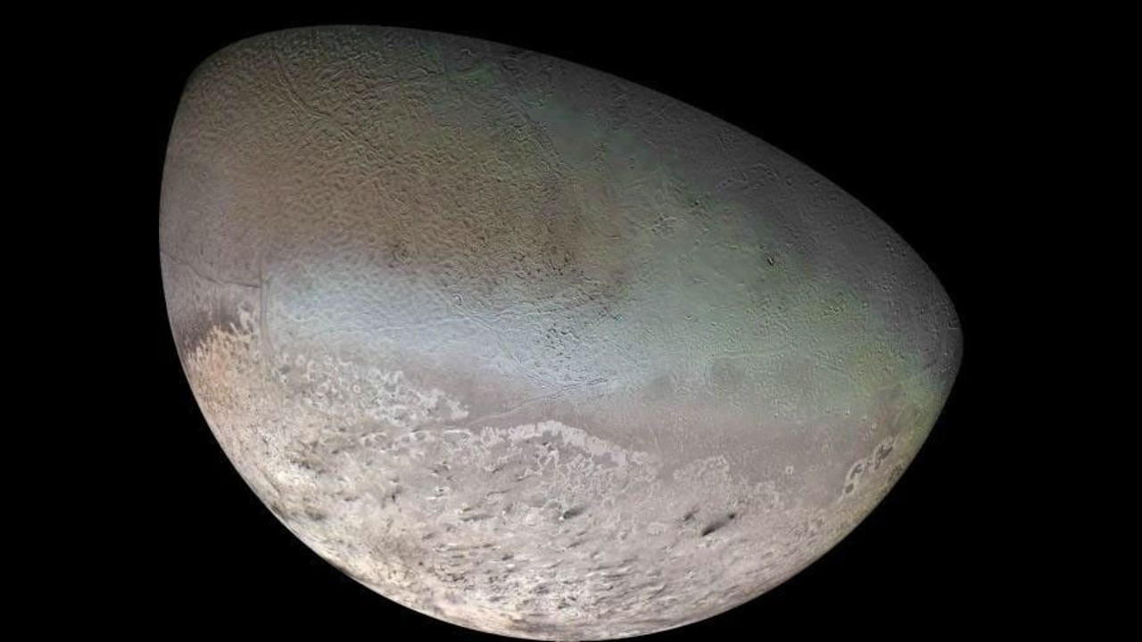 a white and grey mottled orb