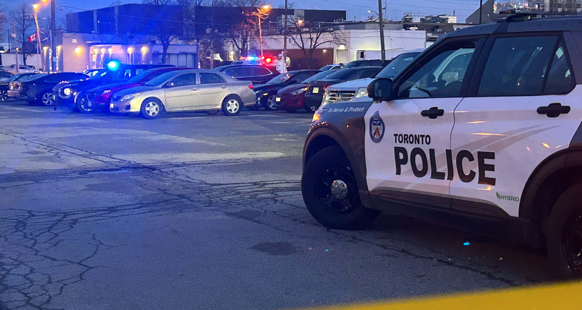 Police search for hit-and-run driver after woman struck in south Etobicoke