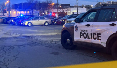 Police search for hit-and-run driver after woman struck in south Etobicoke