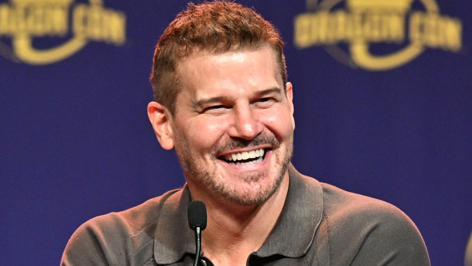 The Bones Series Finale Fulfilled A Promise Made To David Boreanaz In Season 1