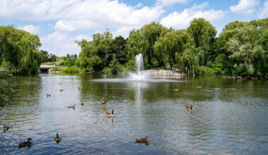 Tucked Next To Toronto Is The 'Flowertown Of Canada' With Parks, Tasty Eats, And A Vibrant Culture