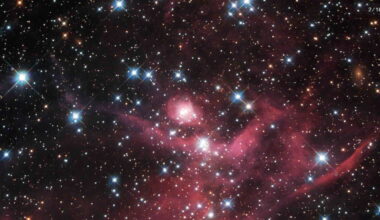 Large Magellanic Cloud