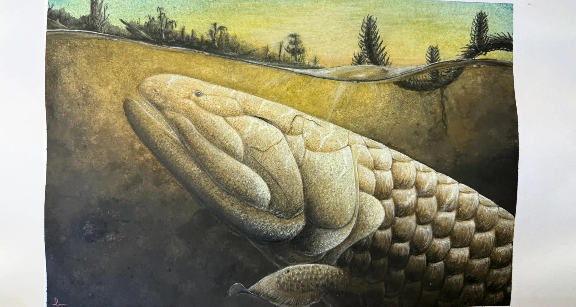 This prehistoric fish may explain how animals first walked on Earth