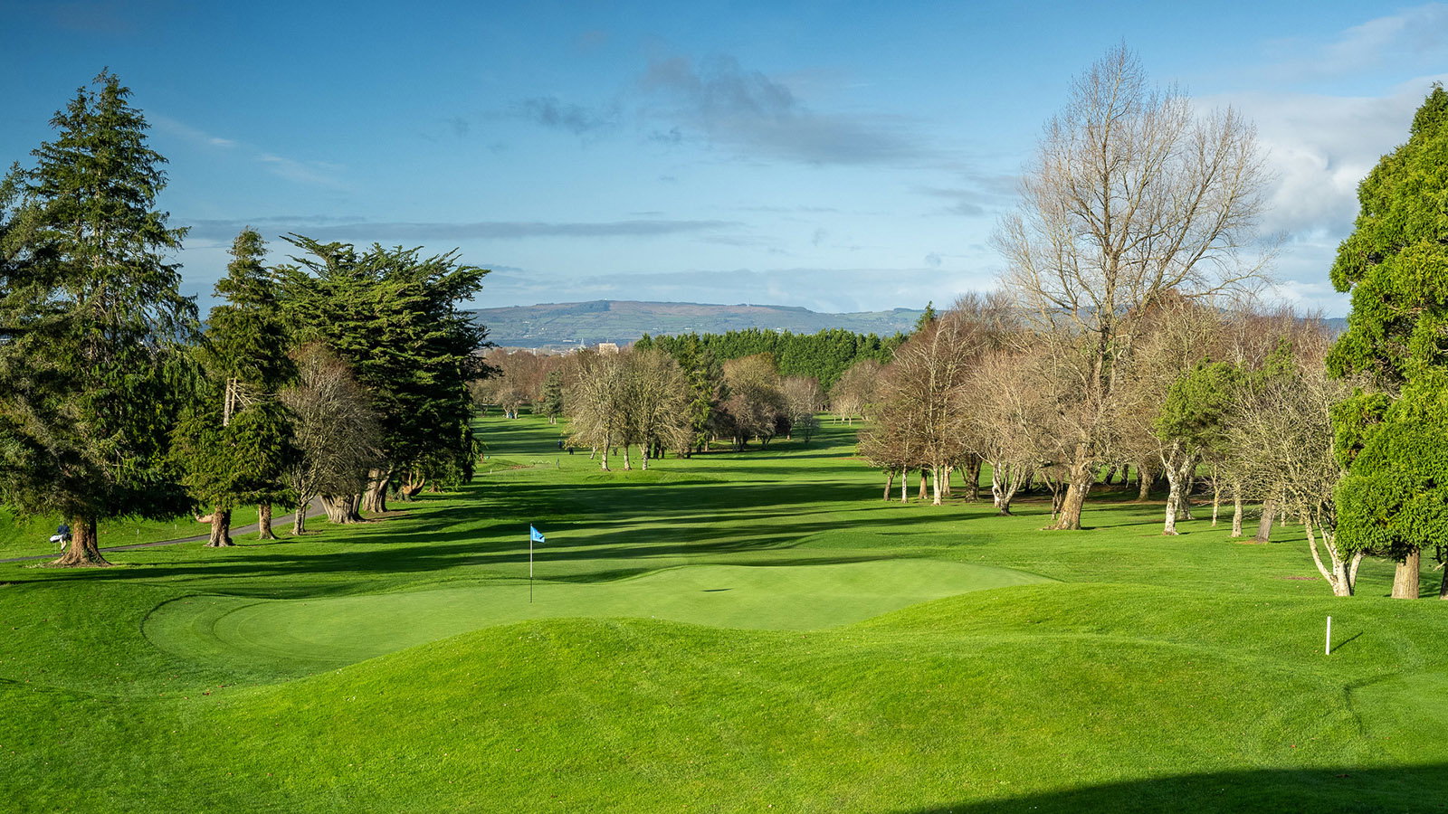 The tight, tree-lined fairways of Limerick Golf Club. Courtesy Limerick Golf Club