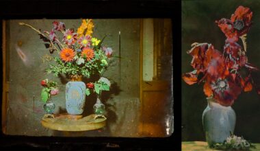 You've Probably Never Seen a Full-Spectrum Color Photo