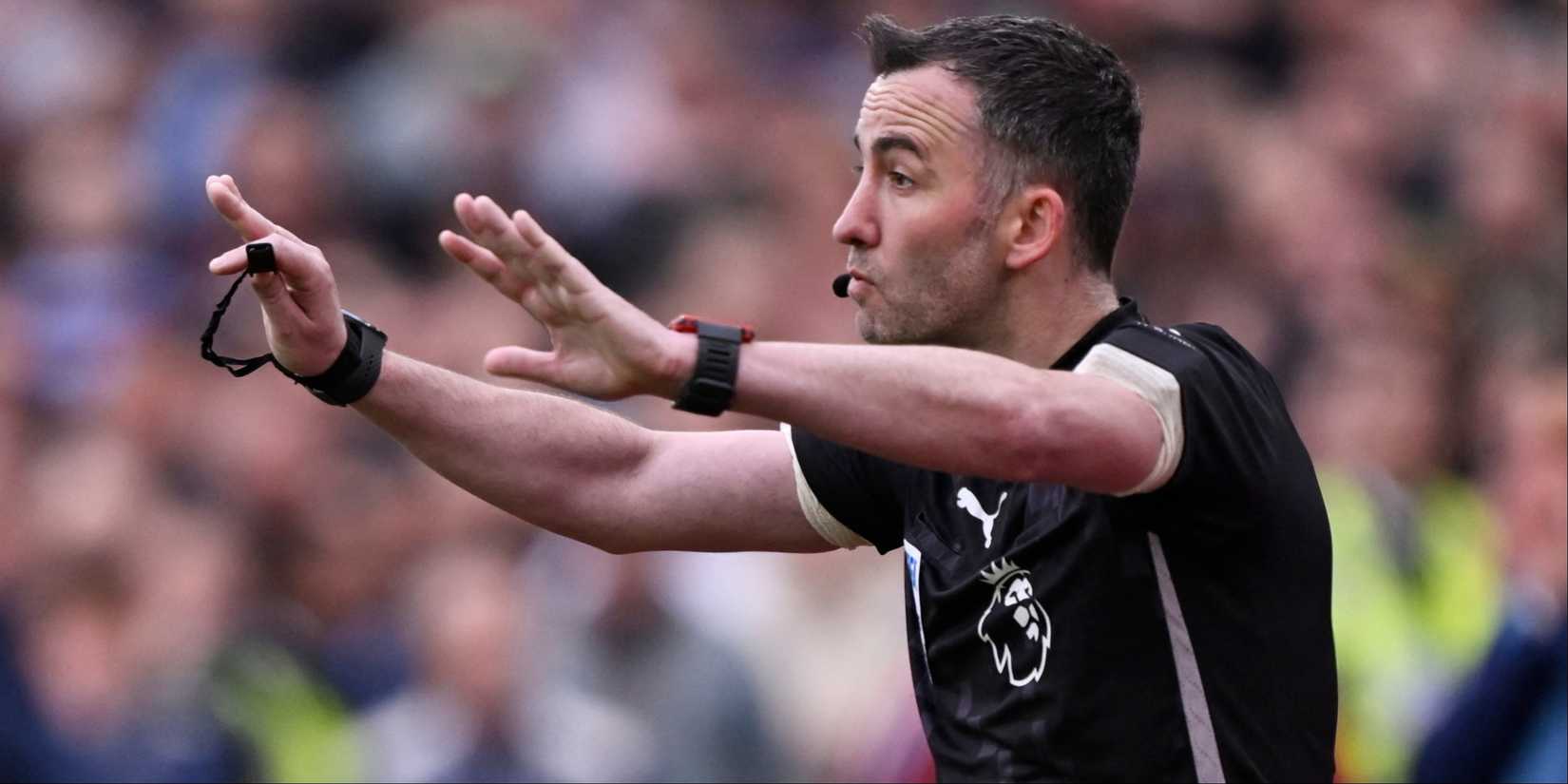Premier League referees