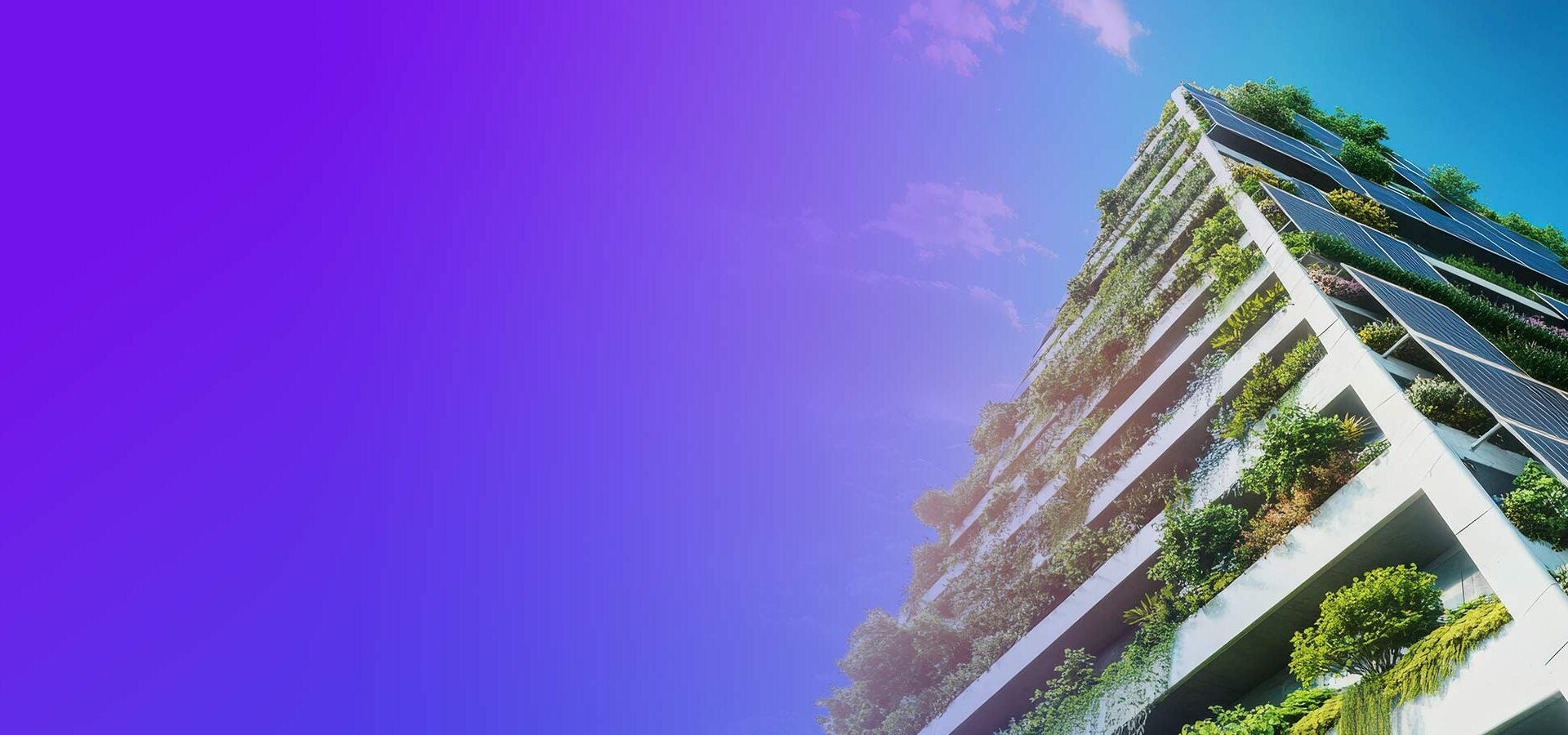 Changes to Canada’s anti-greenwashing laws and business risk