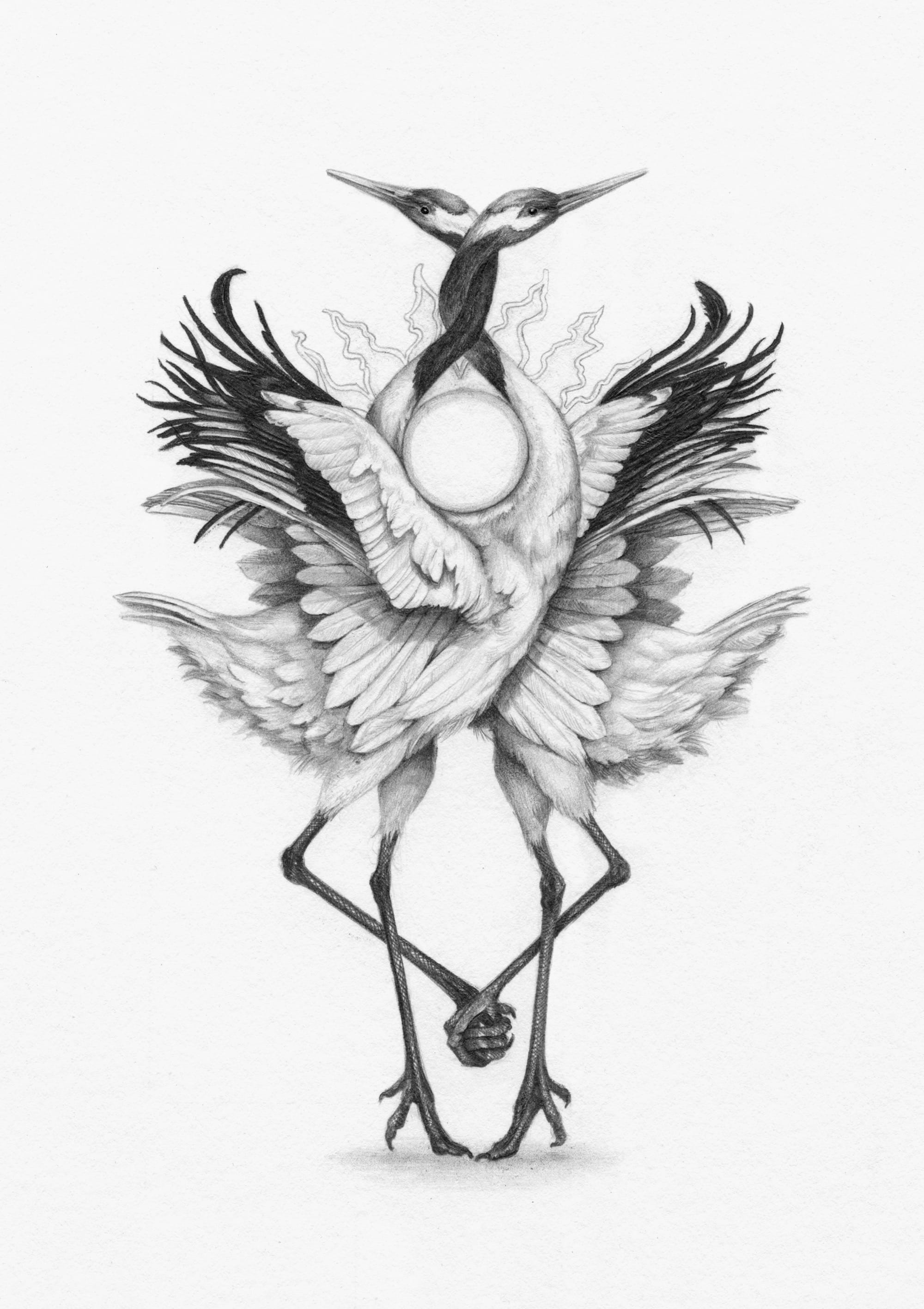a drawing by Christina Mrozik of two birds entwined