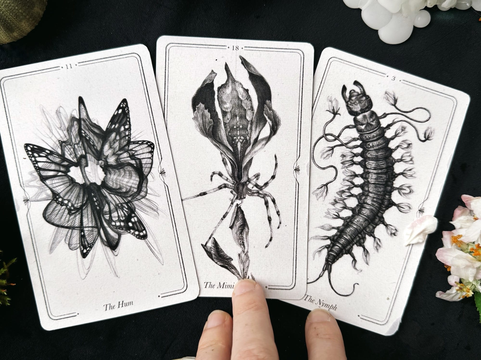 three drawings by Christina Mrozik on oracle cards