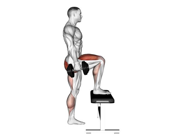 Dumbbell Step-up. Hips exercise. Male figure