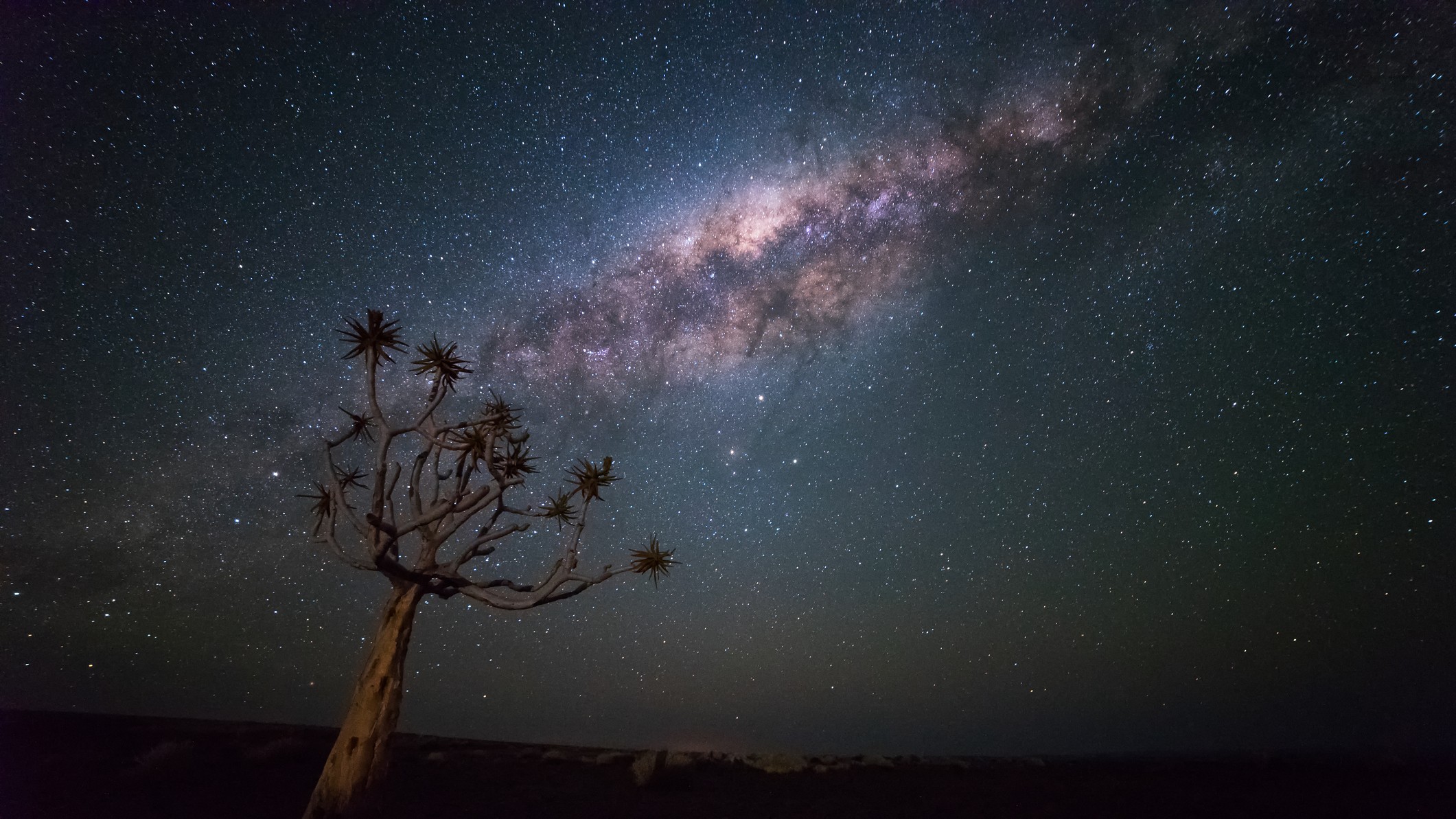 bright light of the core of the milky way stretching diagonally across the sky with a tree in the foreground of the image.