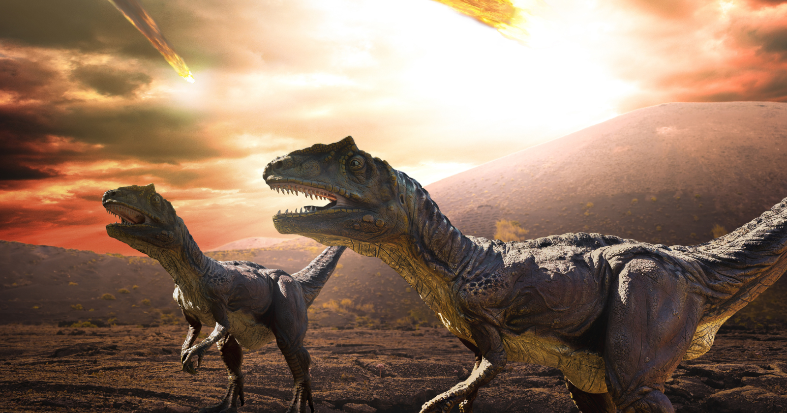 The asteroid that ended the dinosaurs happened to strike a shallow seabed rich in sulphur and buried hydrocarbons, throwing soot and aerosols into the sky — and researchers argue the same rock hitting most other places might not have ended their reign.
