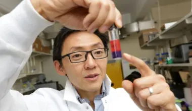 Scientists just found a faster, cleaner way to extract lithium for EV batteries