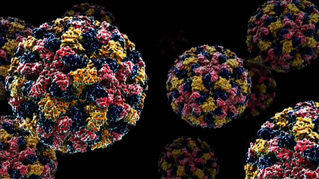 Click to play video: 'Cases of norovirus on the rise, Public Health Agency of Canada says'