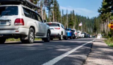 A line of cars waiting on a road with trees and a clear blue sky in the background.