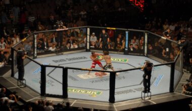 UFC MMA is the pickleball of pugilism