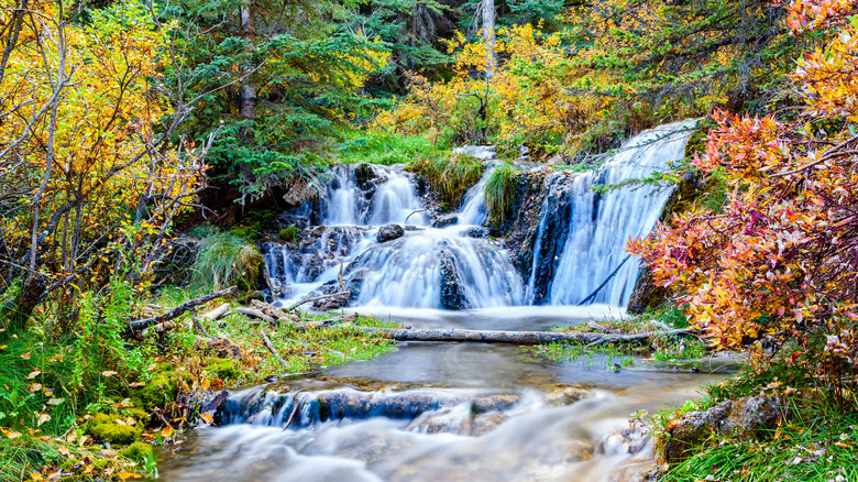 A waterfall surrounded by autumn foliage in Big Hills Springs Provincial Park in Cochrane, Alberta