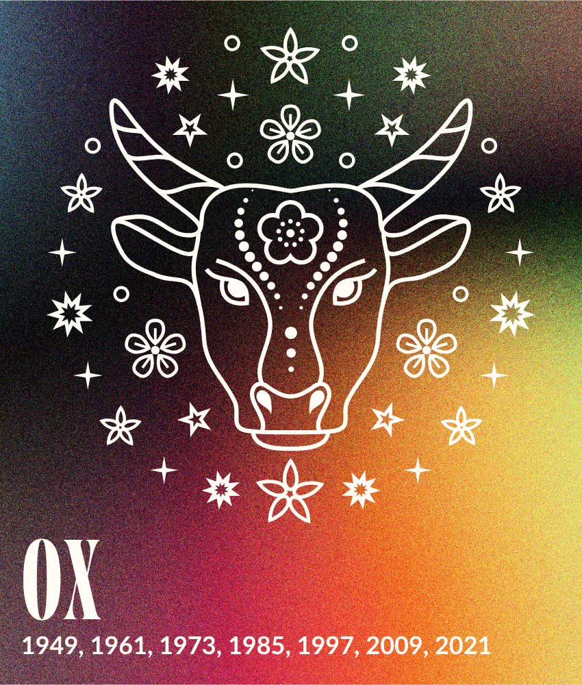 ox chinese zodiac signs life better may 12, 2026