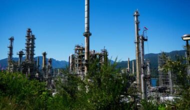 Petroleum and coal product sales highest since September 2023: StatCan - National