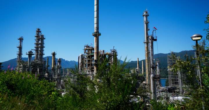 Petroleum and coal product sales highest since September 2023: StatCan - National