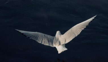 People Were Fitted With Wings in VR and Their Brains Started Treating Them Almost Like Body Parts